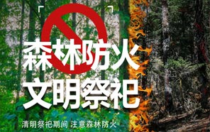 清明節：文明祭奠、預防火災